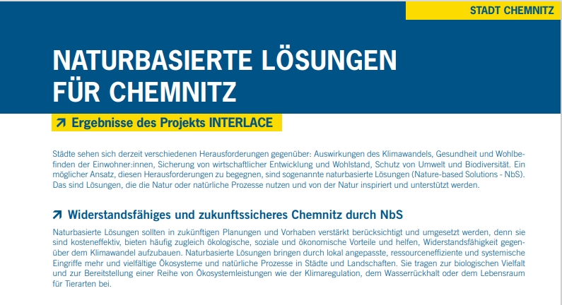 Chemnitz Impulse Paper